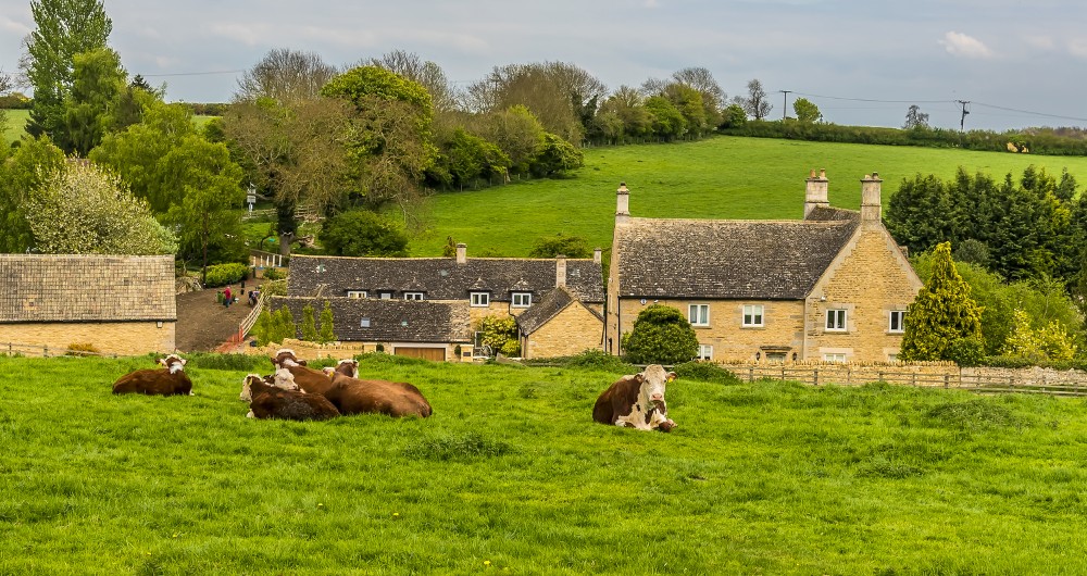 Rutland Property Finder