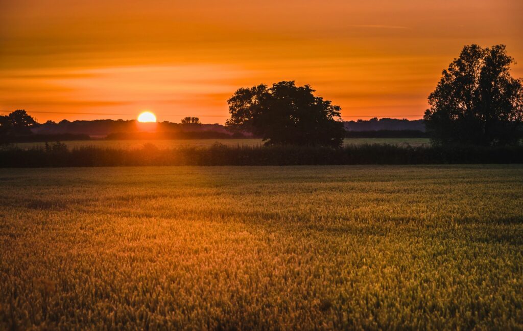 Commuting to London from the East Midlands, Summer sunset from Peterborough